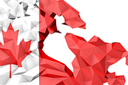 21 Low Poly North America Maps, an Illustration by Lukino (Thumbnail 2 of 3)