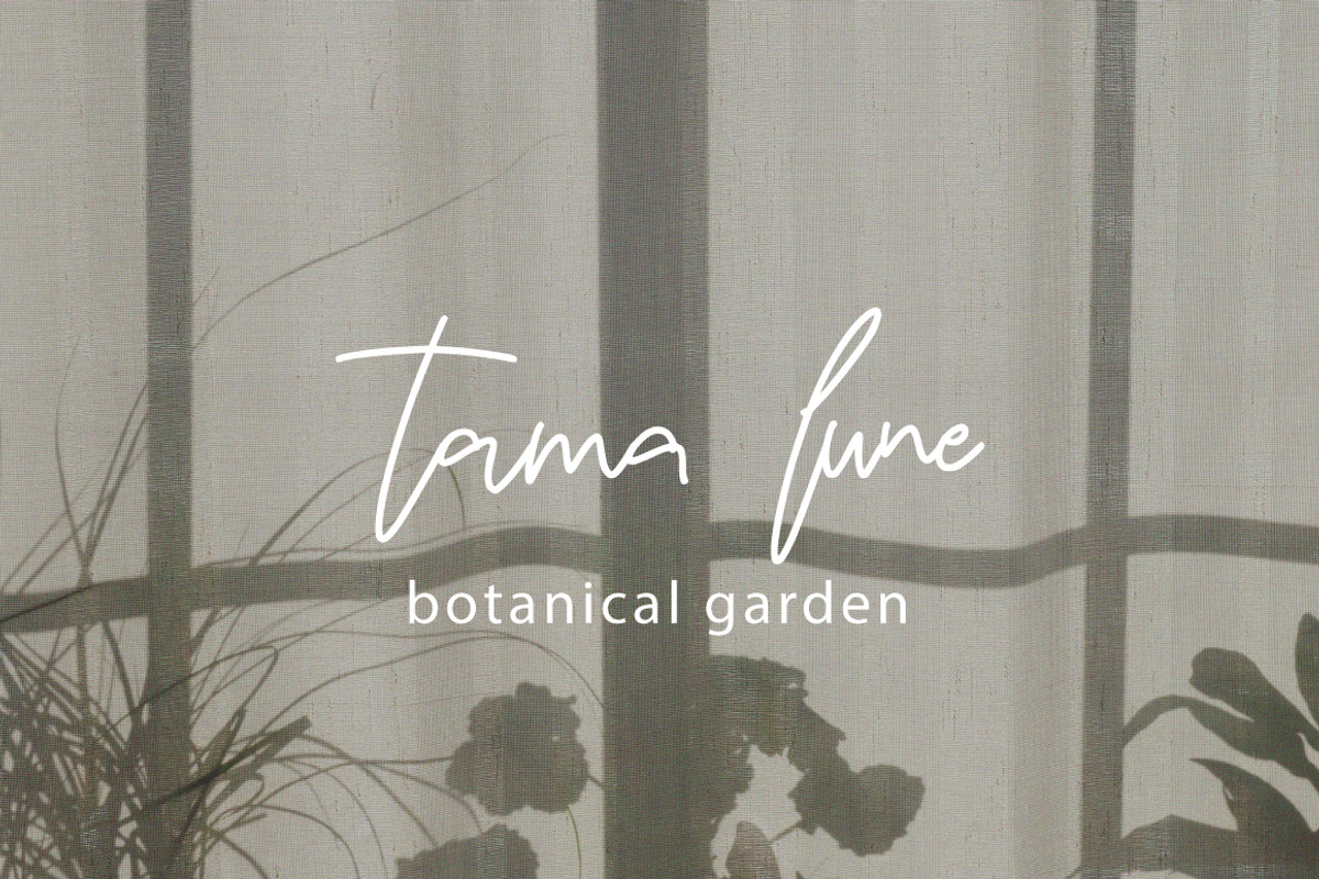 Biyenka - Handwritten Signature, a Handwritten Font by tebaltipislab (Photo 8 of 8)