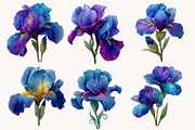 Wild Iris Clipart, an Illustration by Designworld (Thumbnail 5 of 10)