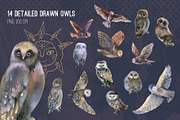 Magic owls: 280 elements for design, an Animal Illustration by Shusha Guna Art (Thumbnail 2 of 23)