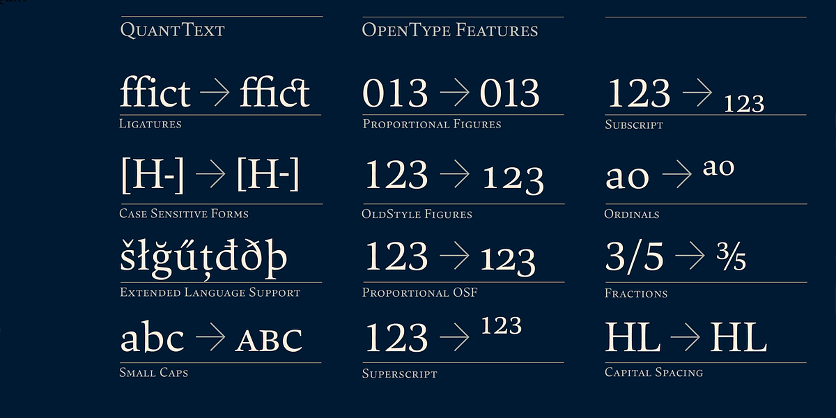 Quant Text, a Serif Font by Hoftype (Photo 5 of 7)