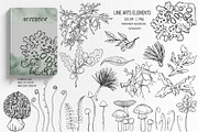 Mashrooms & Herbs Clipart, an Illustration by BalanceUA (Thumbnail 4 of 10)