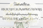 Sentiments - A Handlettered font, a Script Font by lillie belles designs (Thumbnail 5 of 5)
