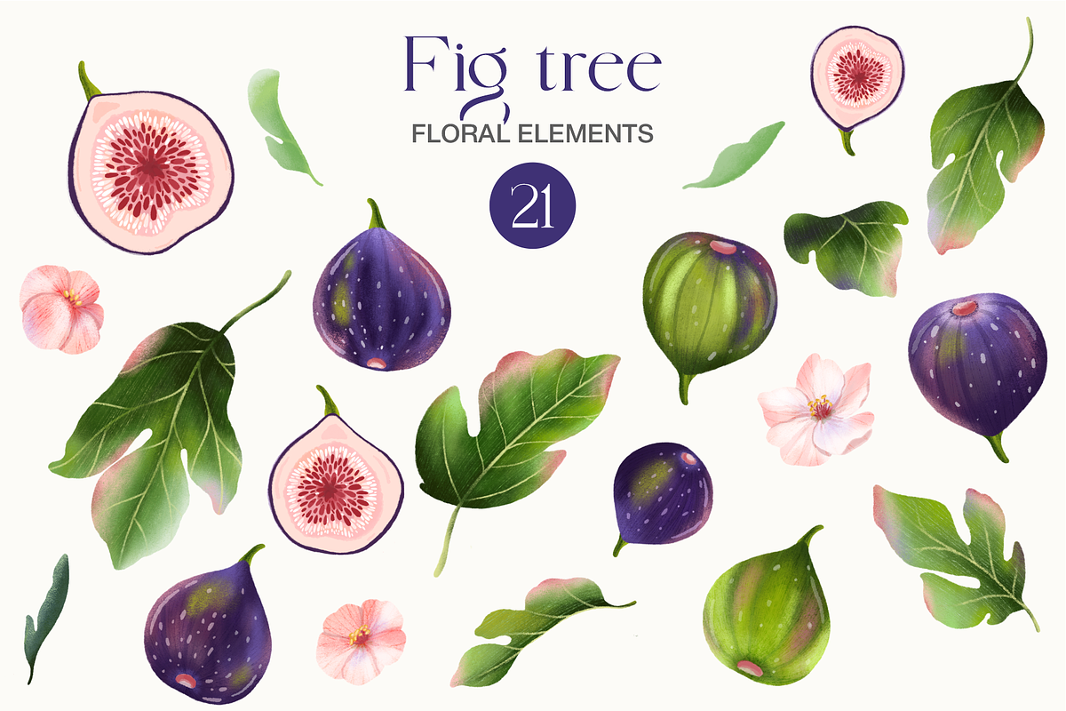 Fig tree fruit and leaves clipart, a Food Illustration by Harmony Draws (Photo 2 of 6)