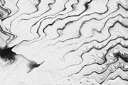 Scales and Fur, a Texture Graphic by Jennifer Lauren Creative (Thumbnail 16 of 26)