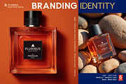 Pluribus - Serif font family, a Serif Font by Artistic & Unique (Thumbnail 10 of 15)