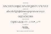 Cherla – Chic Serif Font, a Serif Font by Prioritype Co (Thumbnail 10 of 11)