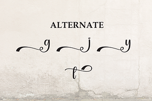 Vintage Lettering Script Font