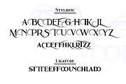 Sherwood, a Serif Font by LetterStock (Thumbnail 7 of 8)