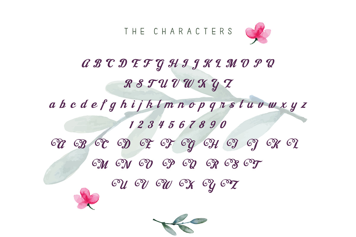 Jacinda preview 2