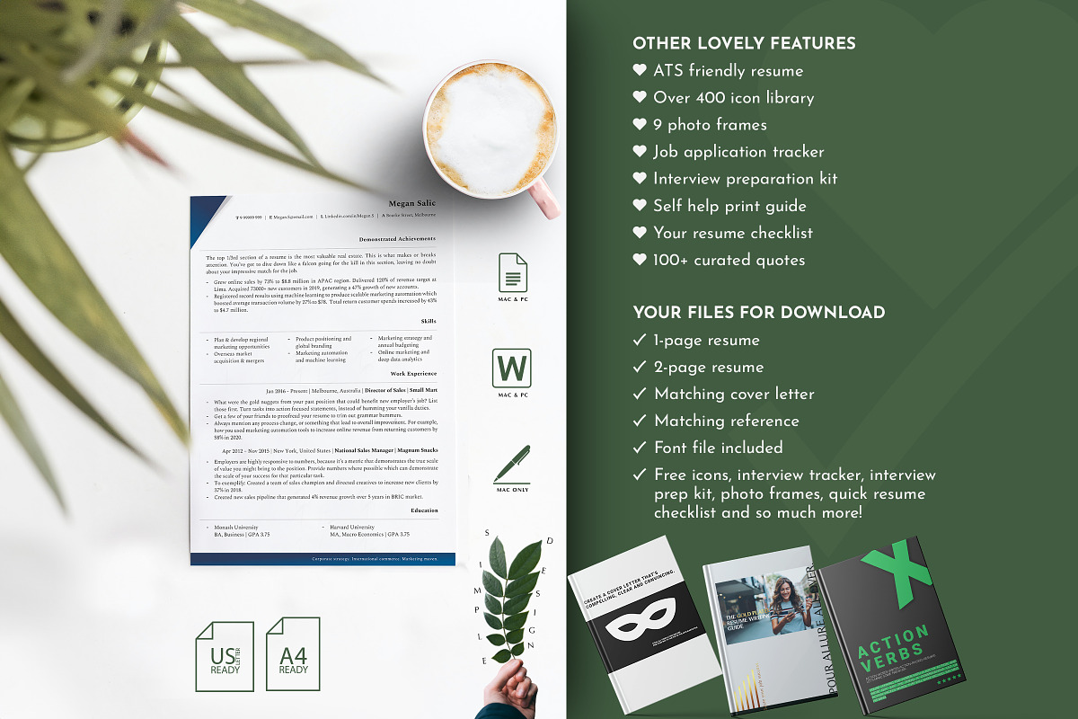 CEO Resume Template, CV Templates, a Resume Template by Career Canvas (Photo 5 of 11)