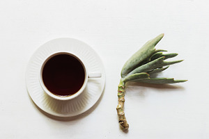 White Teacup Succulent Flatlay, a Food & Drink Photo by René Jordaan Photography