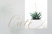 Mustang Script, a Script Font by Areatype (Thumbnail 2 of 7)