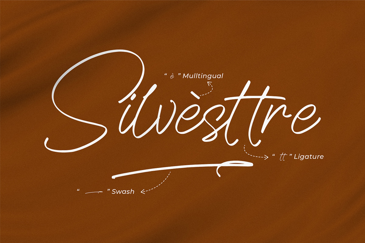 Wesynetta, a Script Font by Integritype Studio (Photo 14 of 15)