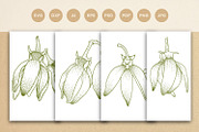 Ylang Ylang flower engraving style, a Healthcare Illustration by vectorartificer (Thumbnail 1 of 5)