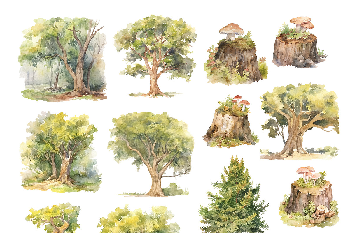 Woodland Bundle, an Animal Illustration by TheCuteShop (Photo 8 of 12)