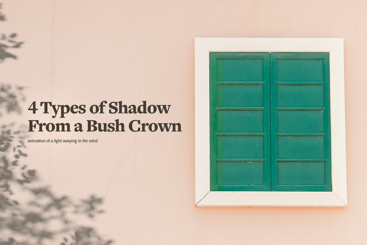 Plant Shadow Backdrops Video Bundle, a Mockup by rebrandy (Photo 6 of 24)