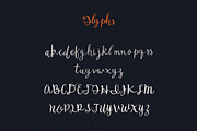 Dakota Font + Bonus, a Script Font by Noe Araujo (Thumbnail 3 of 4)