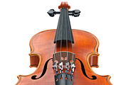 Violin musical equipment, set, an Object Graphic by ARTYuSTUDIO (Thumbnail 13 of 14)
