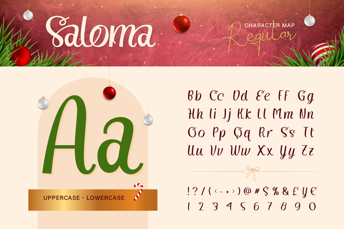 Saloma Signature, a Script Font by Burntilldead (Photo 2 of 11)