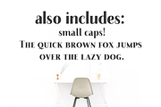 Farewell Angelina font family, a Serif Font by Ana's Fonts (Thumbnail 11 of 11)