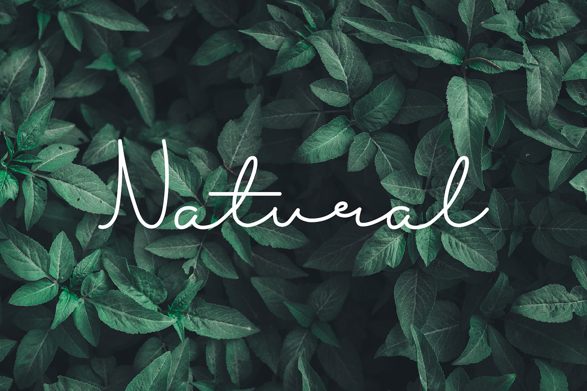 Arunika | Handwriting Font, a Script Font by MustofaCreative (Photo 4 of 5)