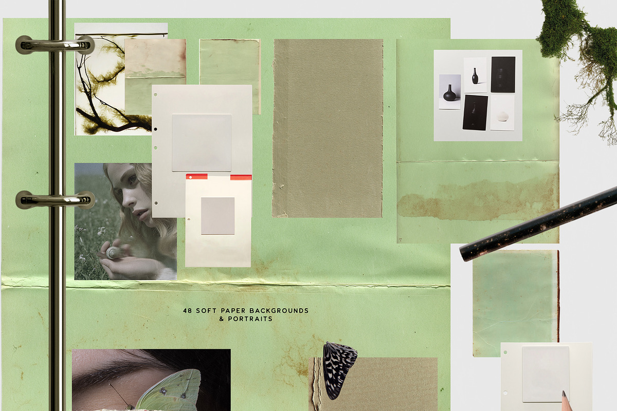 Botanical & Nature Collage Kit, an Object Graphic by Purple (Photo 10 of 11)