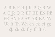 The Wonderling Font Pack, a Serif Font by Tom Chalky (Thumbnail 5 of 16)