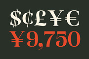 Gts Calira - Romantic Serif Font, a Serif Font by Graptail (Thumbnail 18 of 20)
