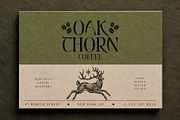 Oakthorn - Historical Celtic Type, a Serif Font by HipFonts (Thumbnail 7 of 9)