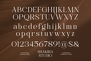 Voices Miracle - Minimal Elegant, a Serif Font by Shakira Studio (Thumbnail 10 of 10)