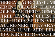 Valero - Classic Serif Family, a Serif Font by Indotype Foundry (Thumbnail 3 of 10)