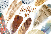 Watercolor vibrant feathers, a Background Graphic by Natasha Koltsova (Thumbnail 1 of 2)