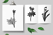 Vintage botanica, an Object Graphic by Mii Lab (Thumbnail 5 of 8)