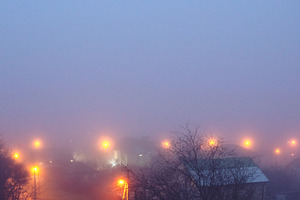 Foggy suburban morning with street l, a Nature Photo by Elena Vagengeim