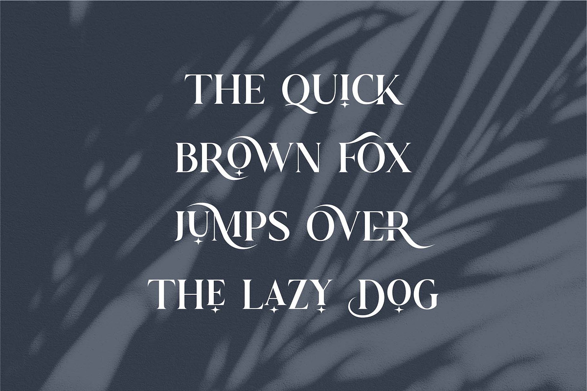 Astrid Elegant Ligature Typeface, a Serif Font by Dylla_studio (Photo 10 of 12)