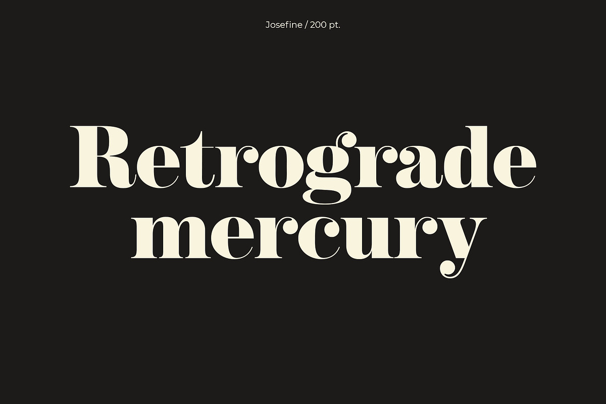 NT Josefine, a Serif Font by nevsky.type (Photo 14 of 15)