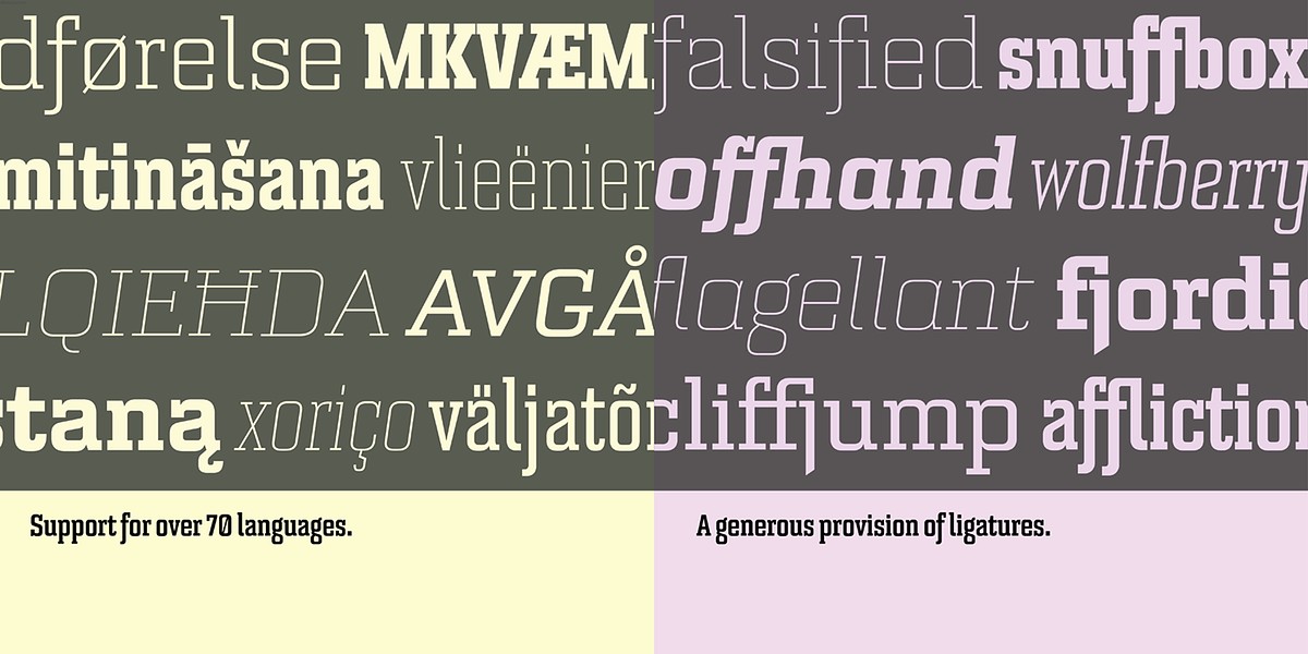 Bourgeois Slab, a Slab Serif Font by Barnbrook Fonts
