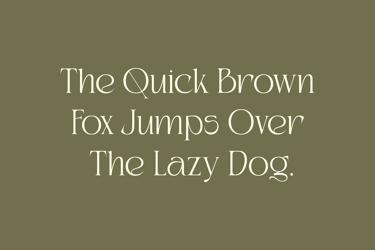 Kaviera Modern Stylish Serif Font, a Serif Font by Heinzel Std (Photo 13 of 17)