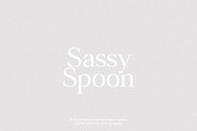 Vision - Modern Serif, a Serif Font by Schrifted Type (Thumbnail 6 of 8)