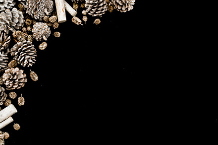 Christmas background pinecones photo, a Holiday Photo by OPSD Shop