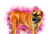 Watercolor Dogs Mega Big Bundle, an Illustration by Dneprstock (Thumbnail 9 of 60)