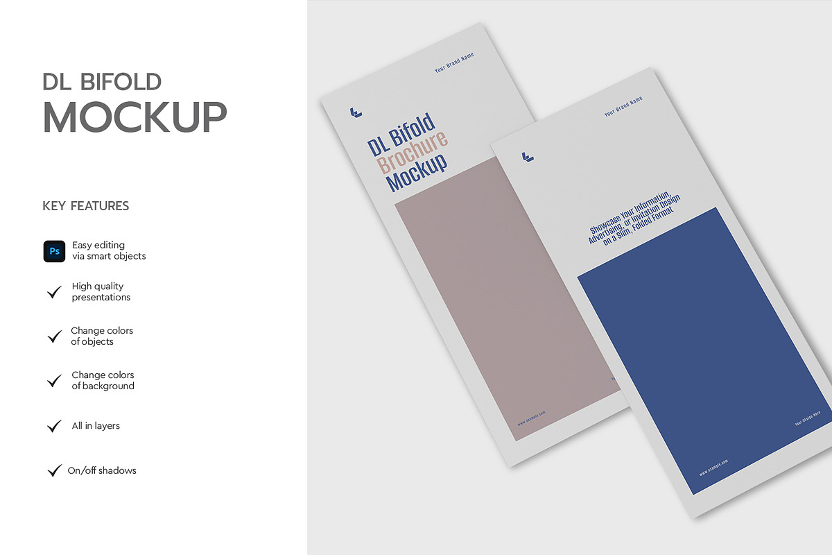 Modern DL Bifold Brochure Mockup, a Product Mockup by graphypix (Photo 2 of 4)