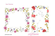 Wildflowers, an Illustration by patriziamoscone (Thumbnail 3 of 10)