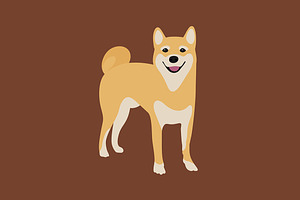 Shiba inu puppy