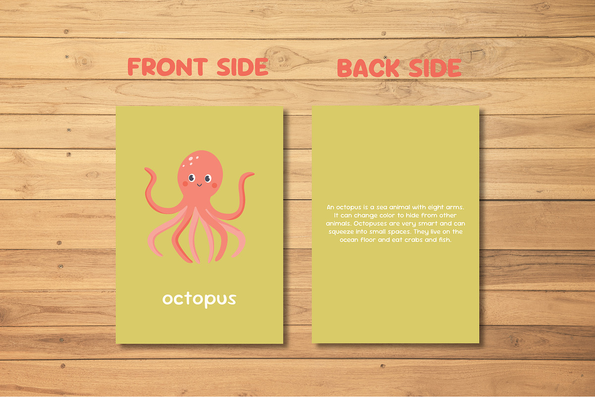 Ocean Animals Educational Cards, an Animal Illustration by Sabina_Ava (Photo 3 of 7)