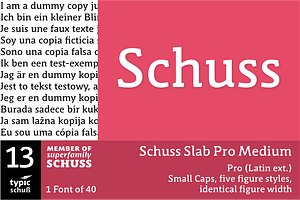 SchussSlabProMedium No.13 1 Font