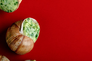 Close-up of escargot stuffed with garlic herb butter on a vibran, a Food & Drink Photo by Ales Munt
