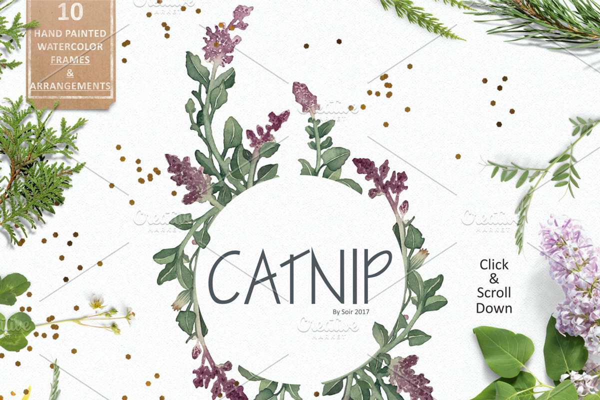 Catnip, a Texture Illustration by Soir Creative (Photo 3 of 6)