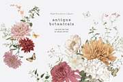 ANTIQUE BOTANICALS Vintage Flowers, a Decorative Illustration by Muse Artist (Thumbnail 1 of 12)